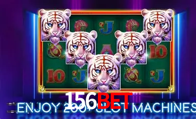 156bet